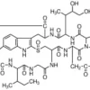 A-amanitin from amanita phalloides 1 mg