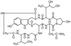 A-amanitin from amanita phalloides 1 mg