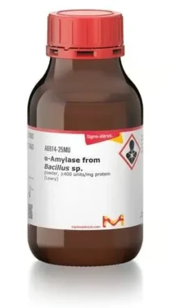 A-amylase from bacillus species 1 MU