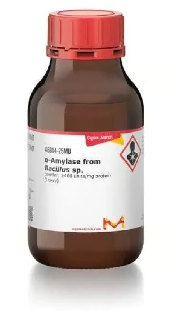 A-amylase from bacillus species 1 MU