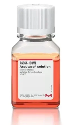 Accutase 100 ml
