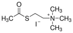 Acetylthiocholine iodide 250 mg