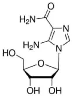 AICAR 98% (HPLC), powder, 5 µg