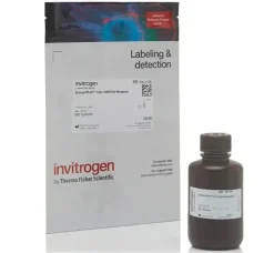 Alamarblue cell viability reagent-100 ml