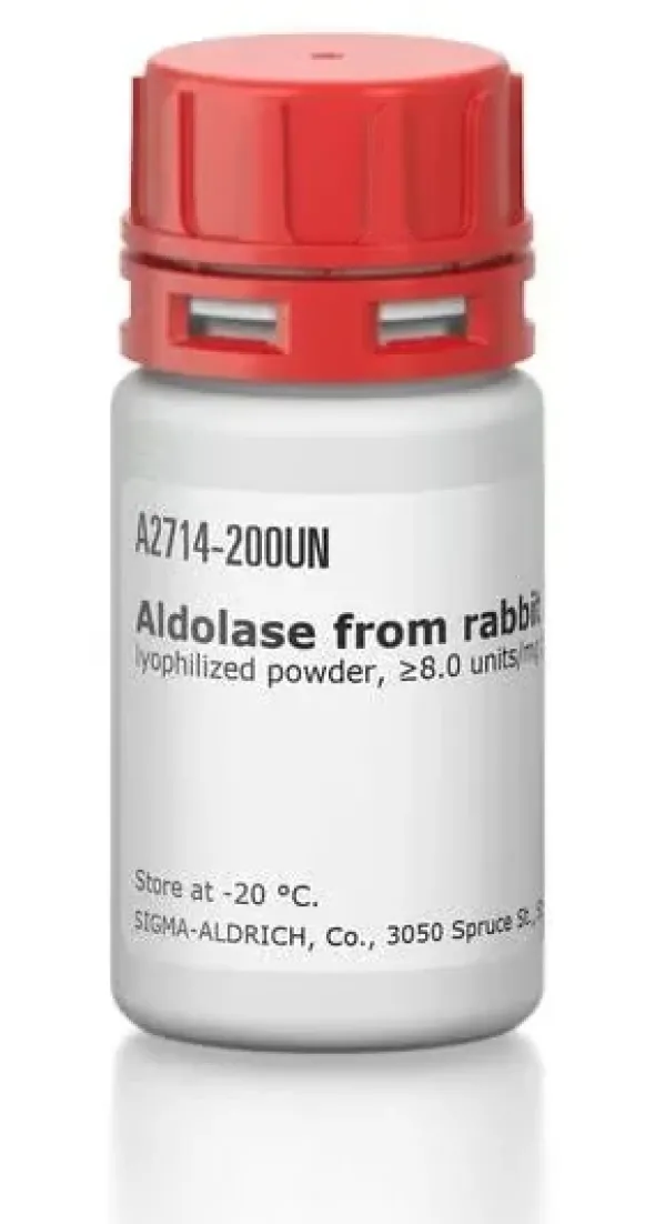 Aldolase type x from rabbit muscle 100 U