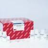 AllPrep DNA/RNA/Protein Mini Kit (50)
