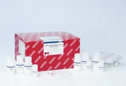 AllPrep DNA/RNA/Protein Mini Kit (50)