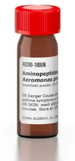 Aminopeptidase from aeromonas 100 U