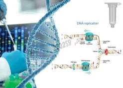 Amorces oligo(dt)20 25 µg