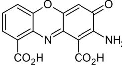 Antagoniste kainate / AMPA, CNQX 10 mg