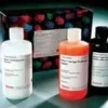 Antibody clean-up kit