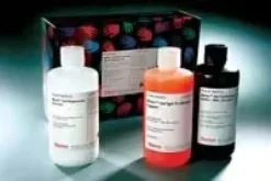 Antibody clean-up kit