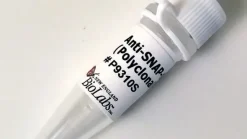 Anti-snap-tag antibody (polyclonal) 100 µl