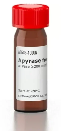 Apyrase grade vii from potato 100 U