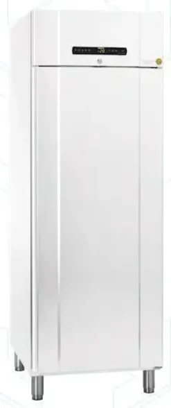 Armoire laboratoire négative qualifiable -25°C +/-5°C  - Bio Compact II RF610 - 419 l - porte pleine