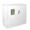 Armoire 15 Minutes 2 Portes Basses 1 extincteur Profondeur 600 Mm