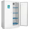 Armoire 90 Minutes 2 Portes Hautes 2 étagère et 1 extincteur