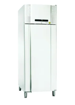 Armoire négative qualifiable BioPlus RF930 -25°/-5 °C - 930 l - froid ventilé - porte pleine