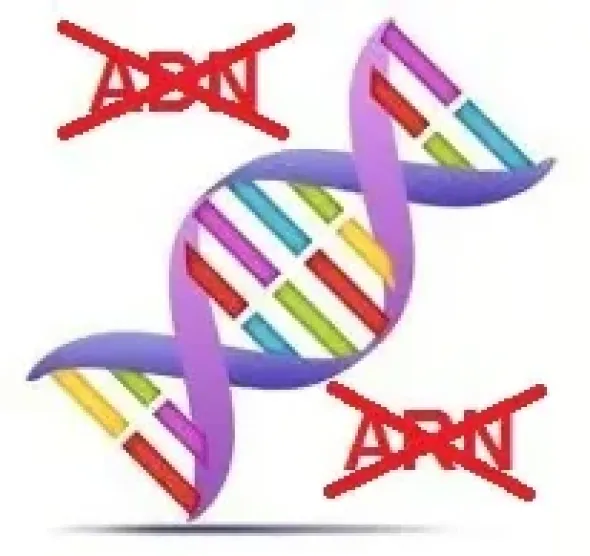 Assay block 1,2 ml GREINER BIO-ONE x 50