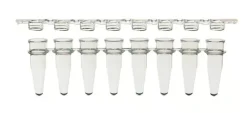 Barrette de 8 microtubes PCR 0,2 ml et 8 cap plat naturel x 125