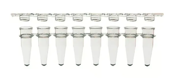 Barrette de 8 microtubes PCR 0,2 ml et 8 cap dôme jaune x 125