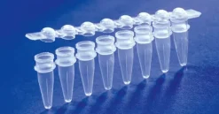 Barrette de 8 microtubes PCR 0,2 ml + barrette de 8 cap attenant dôme naturel x 125