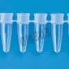 Barrette PCR 8 microtubes 0,2 ml naturel THERMOstrip capuchon dome - 10 packs de 12