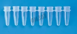 Barrette PCR 8 microtubes 0,2 ml naturel THERMOstrip capuchon dome - 10 packs de 12