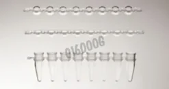 Barrette 8 µtubes 0,2 ml PCR + 8 cap dome assortis 125 x 5