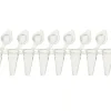 Barrette 8 tubes PCR non flex 0,1 ml profil bas bouchons attachés individ transparent xtraclear naturel x 120