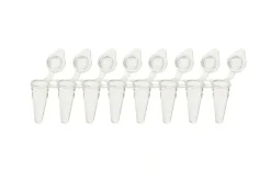 Barrette 8 tubes PCR non flex 0,1 ml profil bas bouchons attachés individ transparent xtraclear naturel x 120