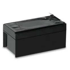 Batterie de remplacement pour aspirateur Accuvac Lite