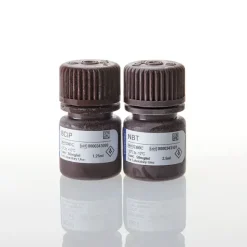 Bcip/nbt color development substrate 1,25/2,5 ml