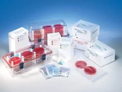 Bd gaspak ez anaerobie x 20 pièces
