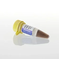 BenchTop 100bp DNA Ladder 300 µl