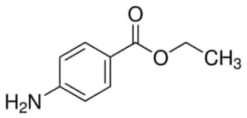 Benzocaine 1 pièce European Pharmacopoeia (EP) Reference Standard