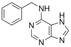 6-Benzylaminopurine suitable for plant cell culture, 5 g