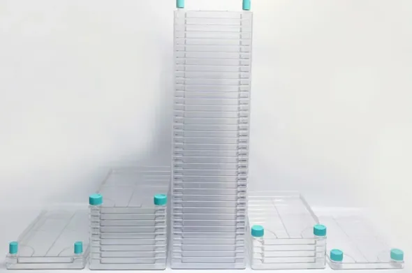 Biofactory 10 chambres large ouverture 6335 cm2 tc stérile ss/1 x 6