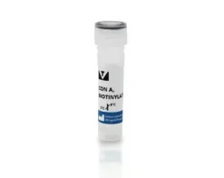 Biotinylated concanavalin a 5 mg