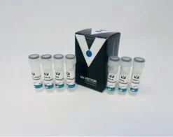 Biotinylated lectin kit i