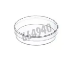 Boîte de Pétri culture 100 x 20 mm poly-d-lysine GREINER BIO-ONE x 40