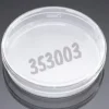 Boîte de Pétri Falcon Ø 100 mm hauteur 20 mm Surface de pousse 58 1 cm² sans quadrillage- 10 sachets de 20