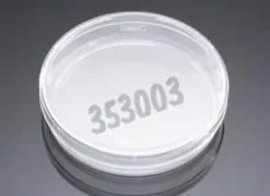 Boîte de Pétri Falcon Ø 100 mm hauteur 20 mm Surface de pousse 58 1 cm² sans quadrillage- 10 sachets de 20