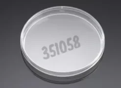 Boîte de Pétri Falcon non traitée culture Ø 150 mm hauteur 15 mm- 10 sachets de 10