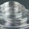 Boîte de Pétri Ø 55 mm avec 3 ergots s/15 stérile CLEARLINE x 1200