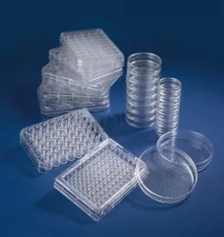 Boîte de Pétri NUNC uPCell 10 cm avec couvercle x 6