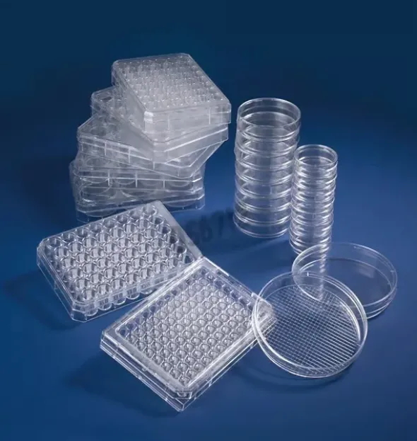 Boîte de Pétri NUNC uPCell 10 cm avec couvercle x 6