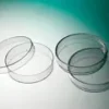 Boîte de Pétri ronde PS naturel sans ergot hauteur 14,2 mm Ø 55 mm 15/sac aseptique x 1620