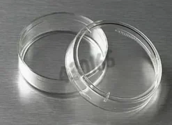Boîte de Pétri traitée culture cellulaire Ø 35 mm hauteur 10 mm surface 8 cm2 x 500
