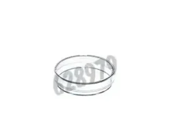 Boîte de Pétri 60 x 15 mm cell repellent GREINER BIO-ONE x 10